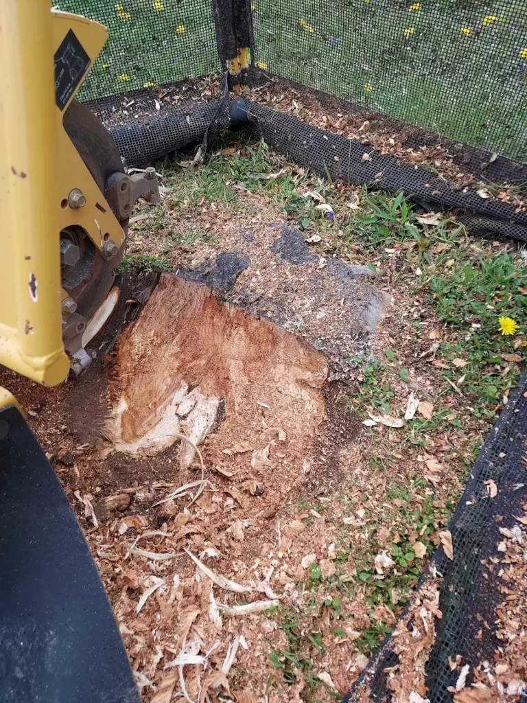 What Stump Grinding Depth is The Best?  The Complete Guide