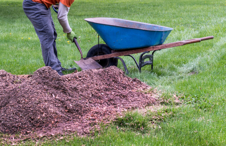 The Complete Guide On What to Do With Stump Grinding Mulch Chips